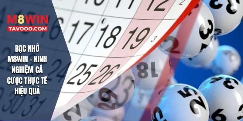 Bạc Nhớ M8WIN